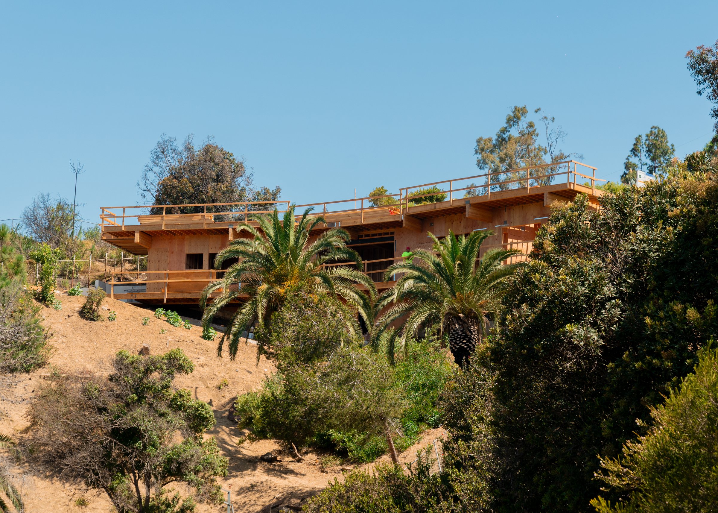 A Palisades hillside home in framing, seen through palms